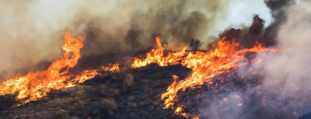 Image of a wildfire destroying a plants on a mountain hill